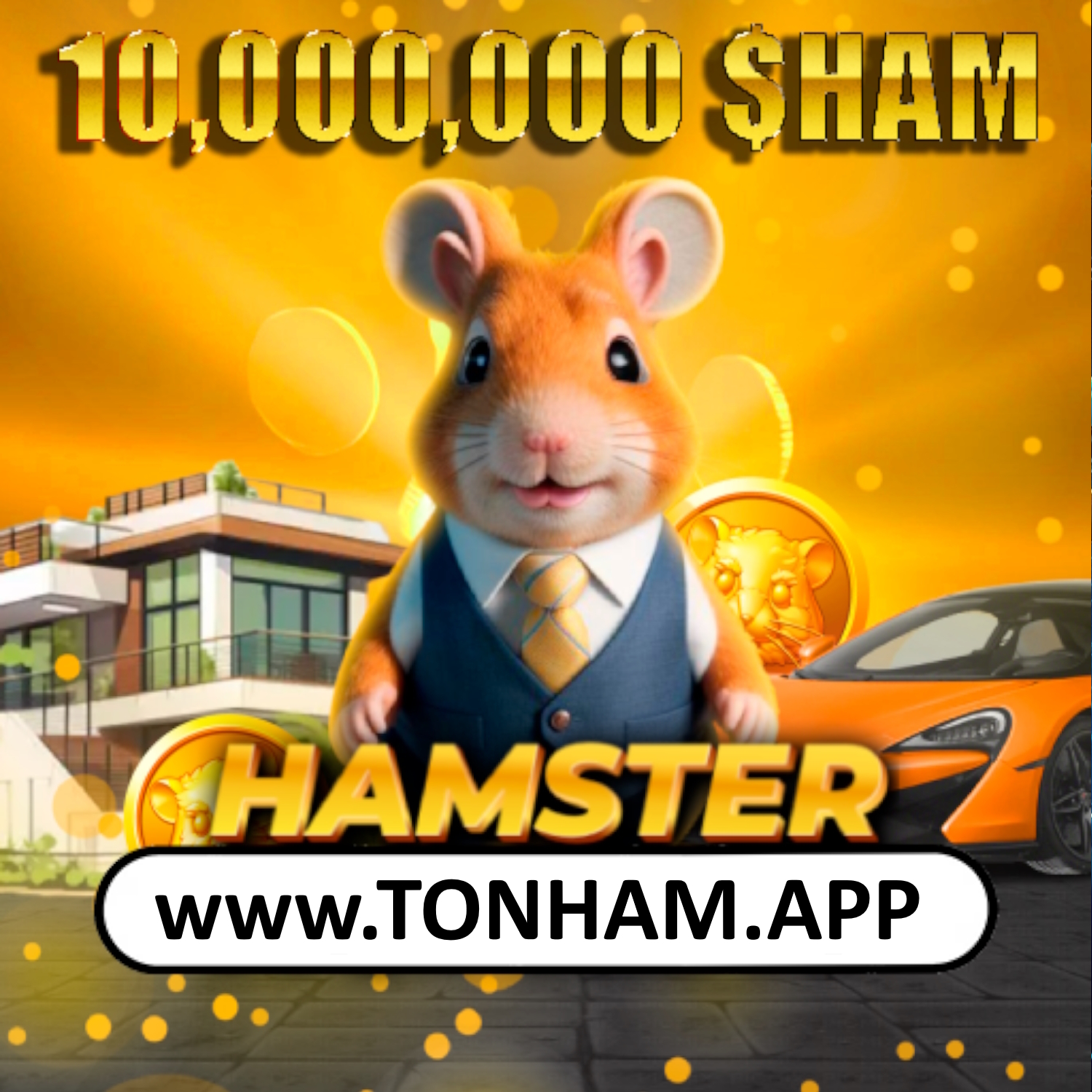 Ddnet hamster combat